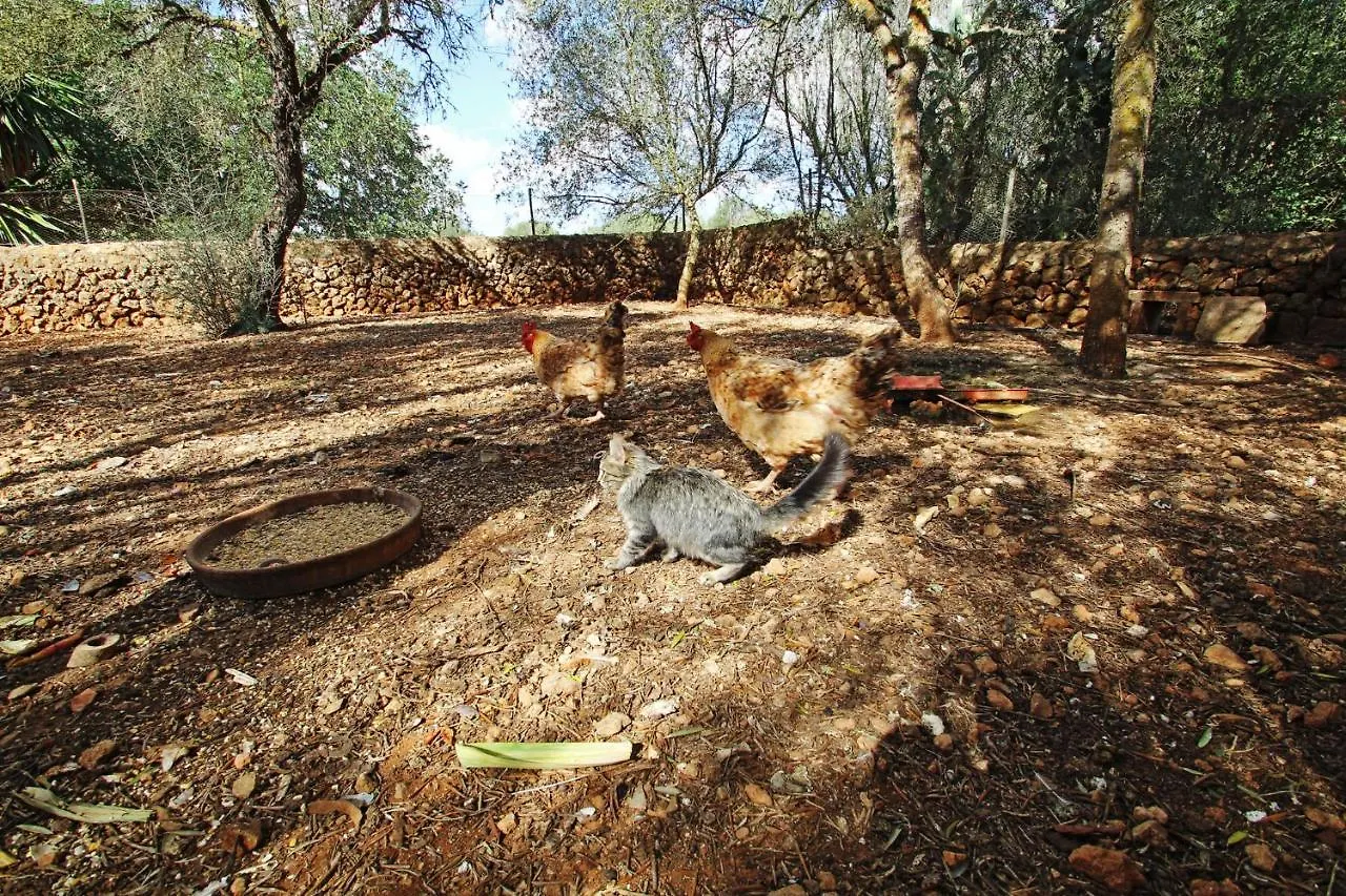 Finca Es Revellar Villa Campos